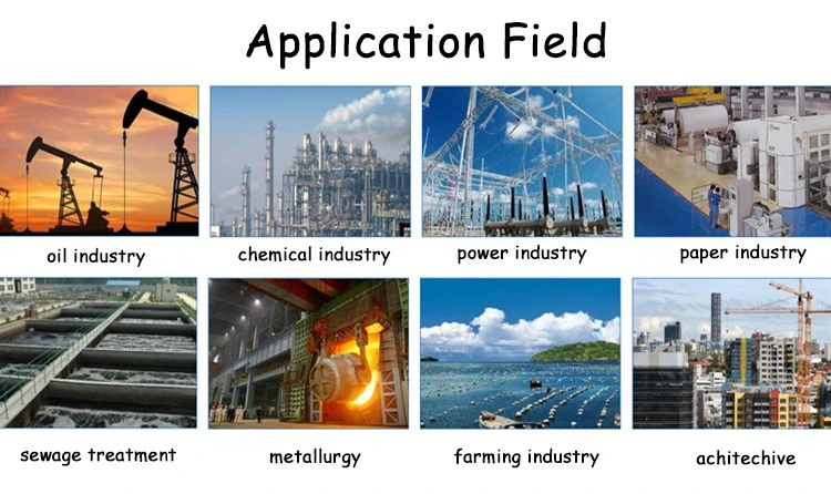 Cationic Polyacrylamide Flocculant for Effective Water Treatment (4) Cationic Polyacrylamide Flocculant for Effective Water Treatment (4)