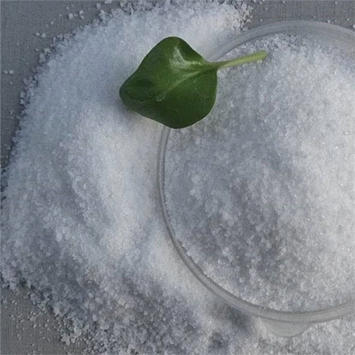 Widely Used Flocculant Coagulant Polyacrylamide PAM